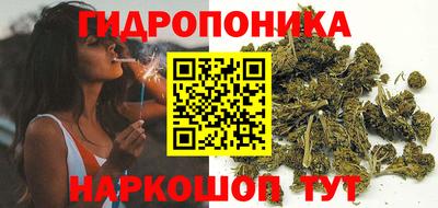 ГАЛЛЮЦИНОГЕННЫЕ ГРИБЫ Пугачёв