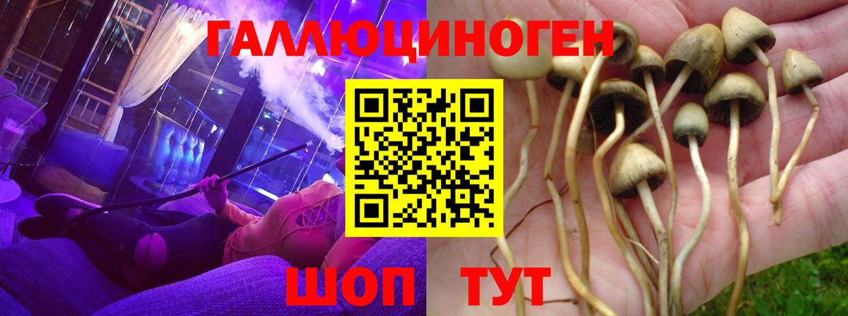 Галлюциногенные грибы Cubensis  Псилоцибиновые грибы Magic Shrooms  Вход с VPN  Орёл 